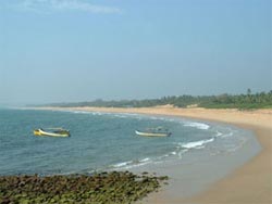 Candolim beach